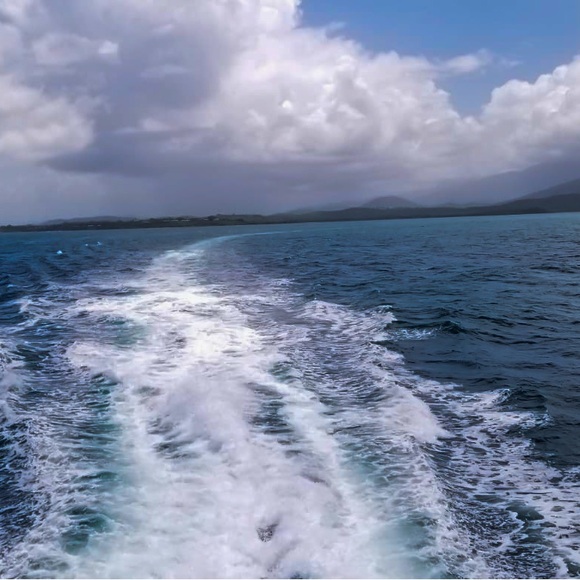 Meet your Posher, Monica - Picture 4 of 10